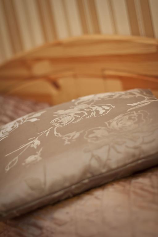 Da Vinci Apartment クラクフ エクステリア 写真
